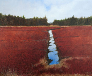 Struna Galleries of Brewster and Chatham, Cape Cod Acrylic Paintings of New England and Cape Cod