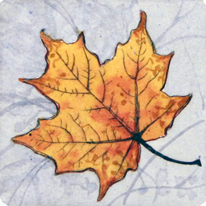 Maple Leaf